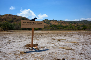Rinca Island, home of Komodo Dragons in East Nusa Tenggara, Indonesia