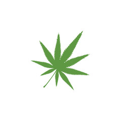 cannabis leaf. vector illustration. green silhouette. business logo. symbol, item, icon, sign. design element
