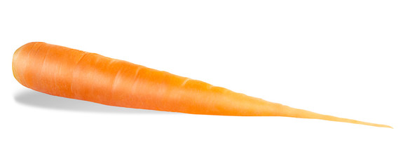 One fresh carrots isolated on white background