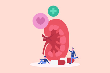 Nephrology illustration concept for web landing page template, banner, flyer and presentation