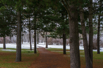 Image of a footpath in a winter park.