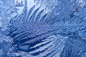 Photographing macro ice on the glass in winter Patterned like leaves