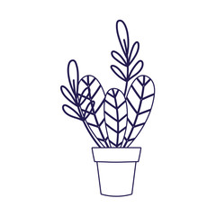 potted plant leaves foliage decoration ornament