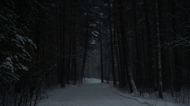 scary dark path in the winter forest