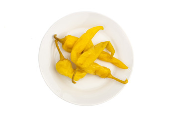 hot spicy hot pepper on a white plate isolated