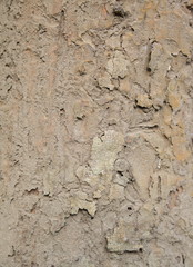 Old, rough textured, knotted, weathered, rotten, cracked, plank - knot detail.
