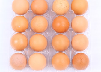 Tray of raw eggs isolated on a white background