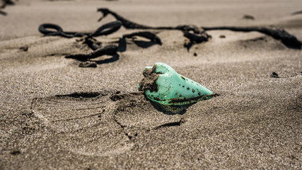 Plastic Bottle And Footprint On A Beach - Environmental Pollution