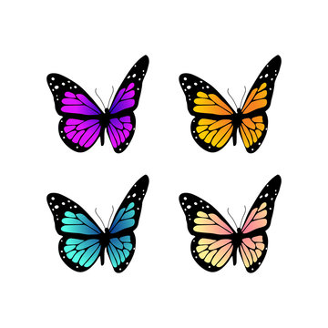 Set of Colorful Butterflies Vector Illustration, Butterfly Template Vector