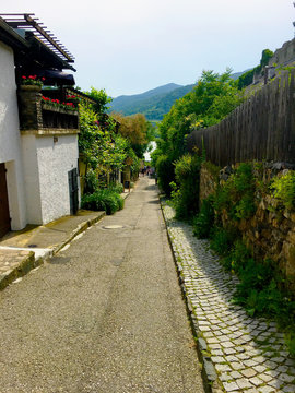 European Quiet Street 2019