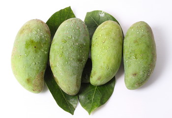 Green mango isolated on a white background