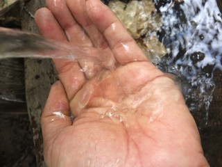 closeup of womans hands with water