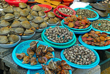 Korean seafood(Sea snail,Scallop,cockle,clam) at Jagalchi fish market Busan Korea