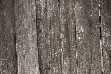 Fototapeta premium Texture of a wooden worn scratched fence