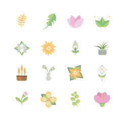 flower foliage decoratiopn natural floral botanical icons set