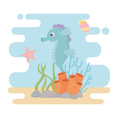 seahorse starfish snail life coral reef cartoon under the sea