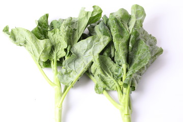 Chinese kale on white background