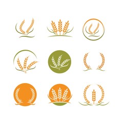 Agriculture wheat   vector icon illustration design
