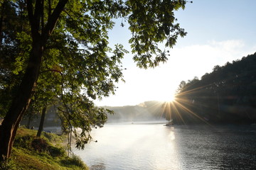 The tranquil and beautiful atmosphere of the pine forest and reservoir in the evening with a dim...