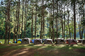The tranquil and beautiful atmosphere of the pine forest and reservoir in the evening with a dim...