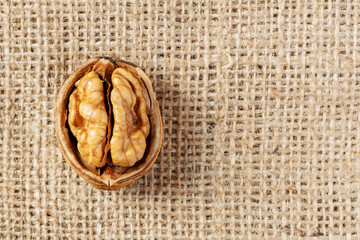 Walnut macro shot. Texture shell. Rural style.