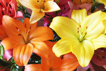 Koenigslilie © Stephan von Mikusch