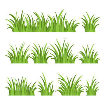 Set of green grass isolated on white background. Vector illustration.