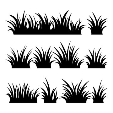 Set of grass silhouettes on the white background. Vector illustration.