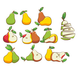 Pear vector set collection graphic clipart design