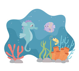 Obraz na płótnie Canvas seahorse fish shrimp life coral reef under the sea