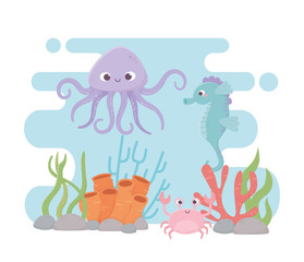 octopus seahorse crab life coral reef cartoon under the sea