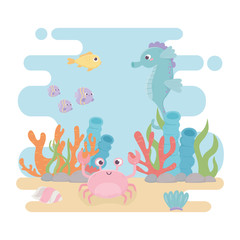 seahorse fishes crab life algae coral reef cartoon under the sea