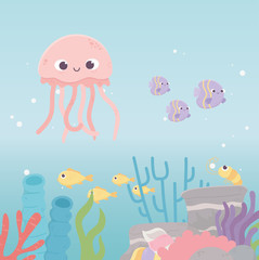 jellyfish shrimp fishes life coral reef cartoon under the sea