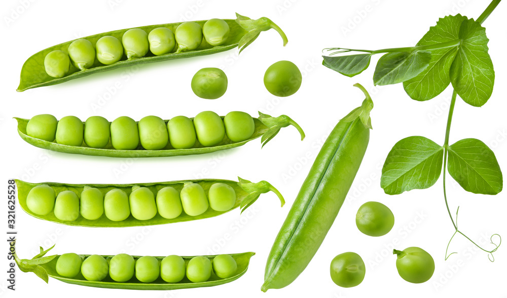 Wall mural green pea isolated. group of fresh ripe raw peas pods and open beans with leaves on stem isolated on