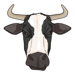 Cartoon Cow Head. Vector Cattle Illustration