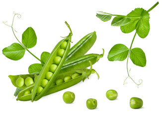 Green pea isolated. Group of fresh ripe raw peas pods and open beans with leaves on stem isolated...