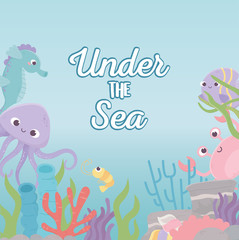 Naklejka na ściany i meble octopus seahorse crab shrimp life coral reef under the sea