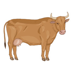 Cartoon Brown Cow. Vector Comics Style Illustration.