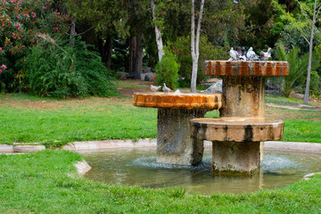 Valencia city, Spain