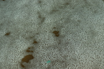 close-up of white bubble from water wave on beach