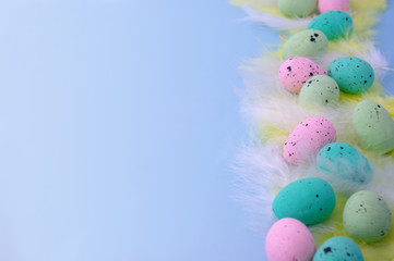 Easter quail eggs, pink, green,blue colors, yellow feathers. Copy space. Happy easter, greeting card, invitation, promotion.
