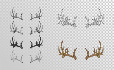 Vector set of hand drawn horns deer with grunge elements in different versions on a transparent background. Monochrome and color variation. 