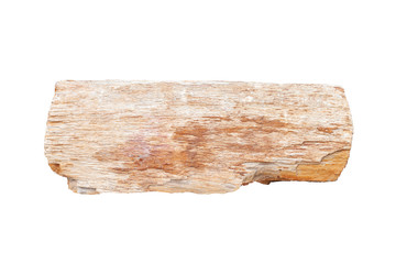 Petrified wood isolated on white background included clipping path.