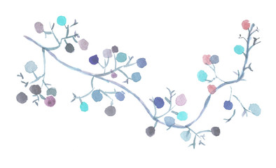 水彩で描いた青い実