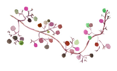 水彩で描いた赤い実