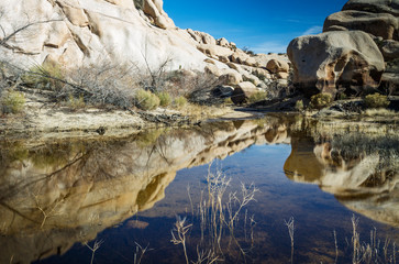 Reflective pool of water at Joshua Tree National Park, California