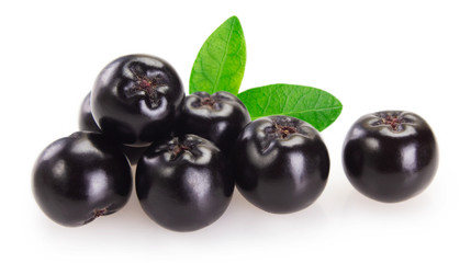Fresh chokeberry on white background
