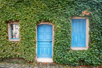 Fototapeta na wymiar Rustic facade covered in green ivy with a blue wooden door