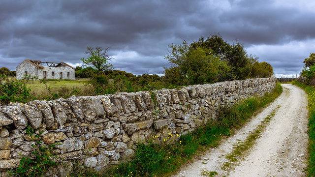 Camino de Santiago (de Colmenar Viejo a Manzanares el Real)