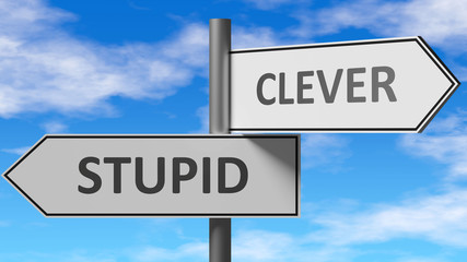 Stupid and clever as a choice - pictured as words Stupid, clever on road signs to show that when a person makes decision he can choose either Stupid or clever as an option, 3d illustration